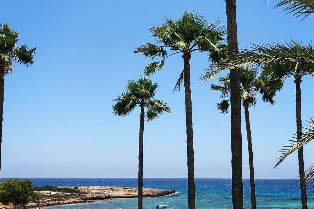 Photo of Others in Ayia Napa
