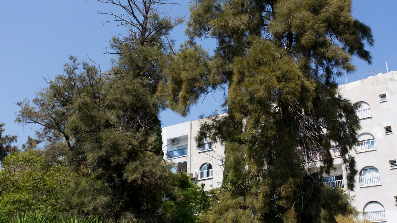Photo of Others in Agios Tychon