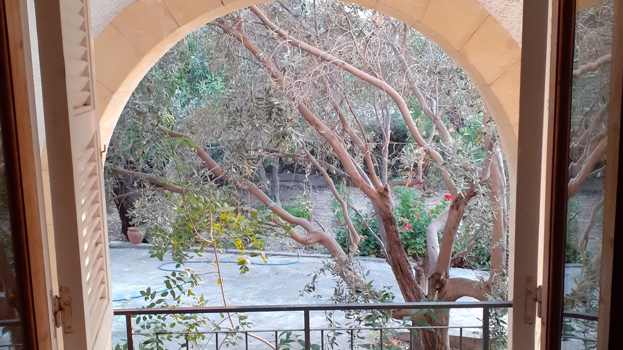 Photo of Others in Ozankoy