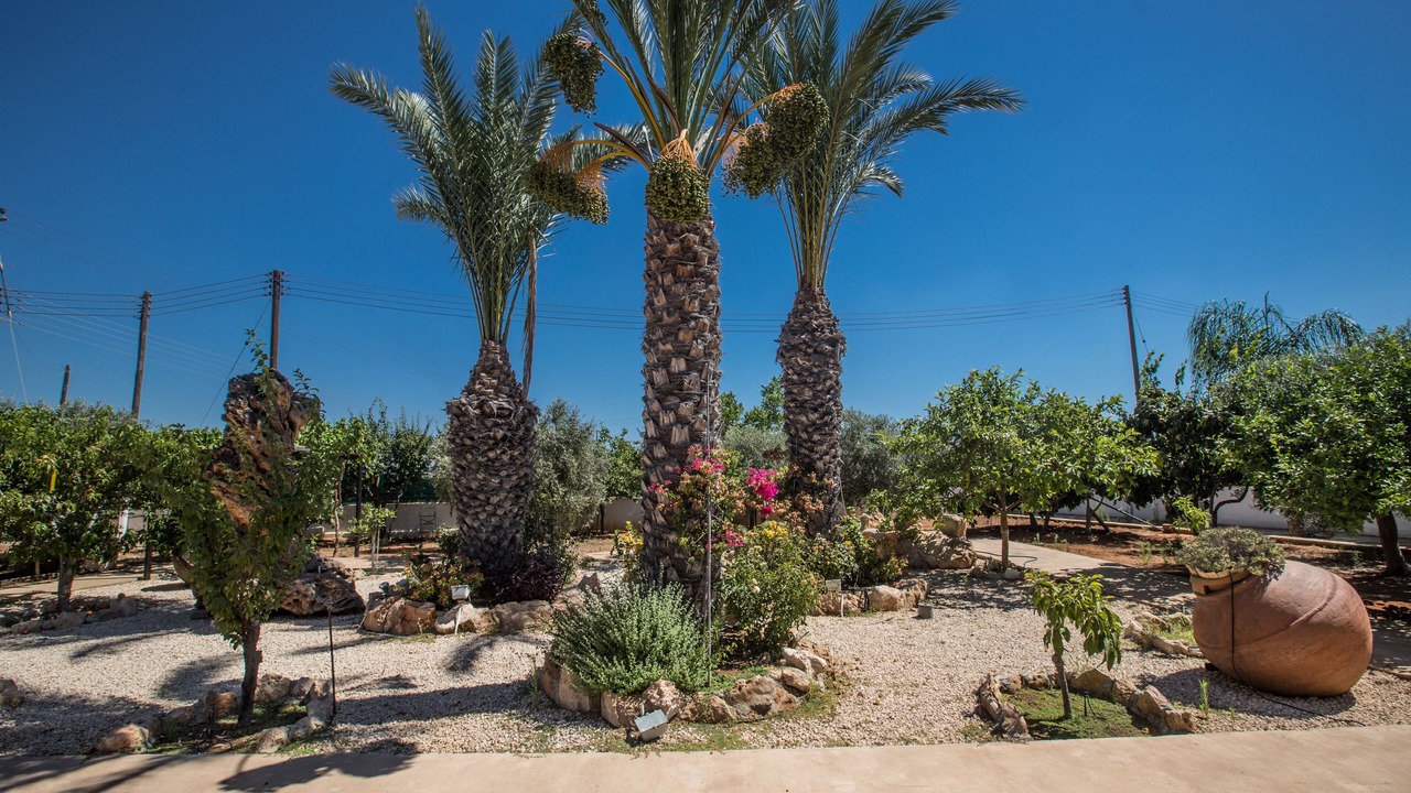 Photo of Outdoor in Paralimni