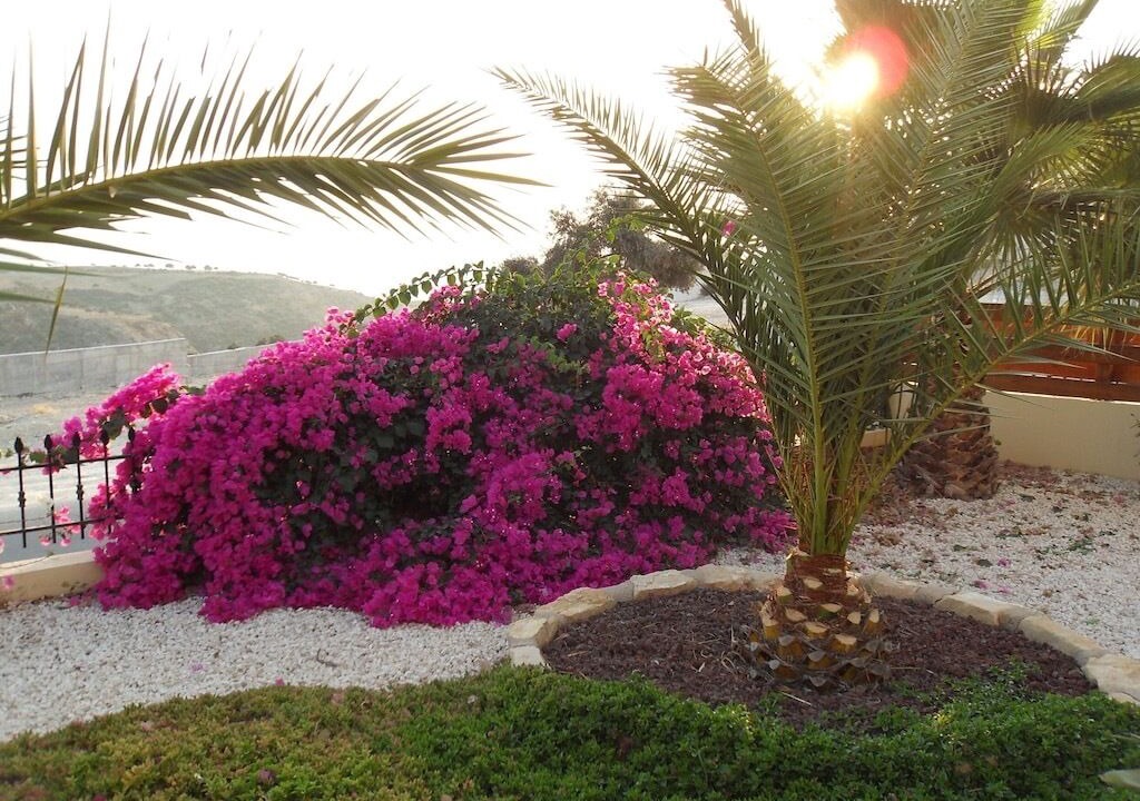 Photo of Outdoor in Pissouri