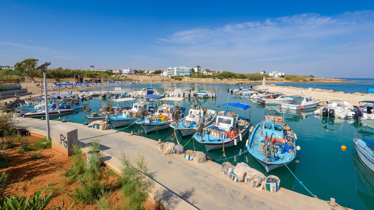 Photo of Others in Paralimni