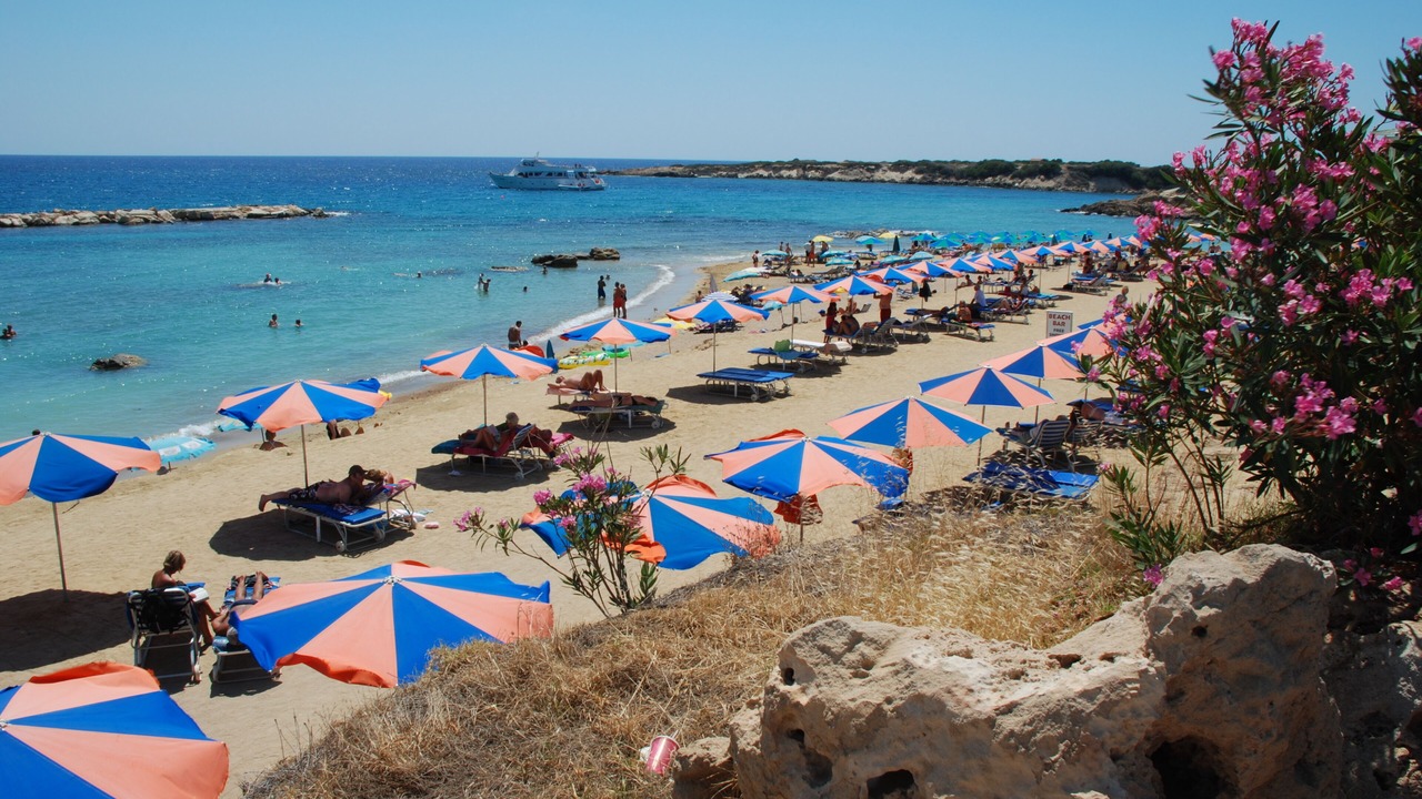Photo of Others in Pegeia