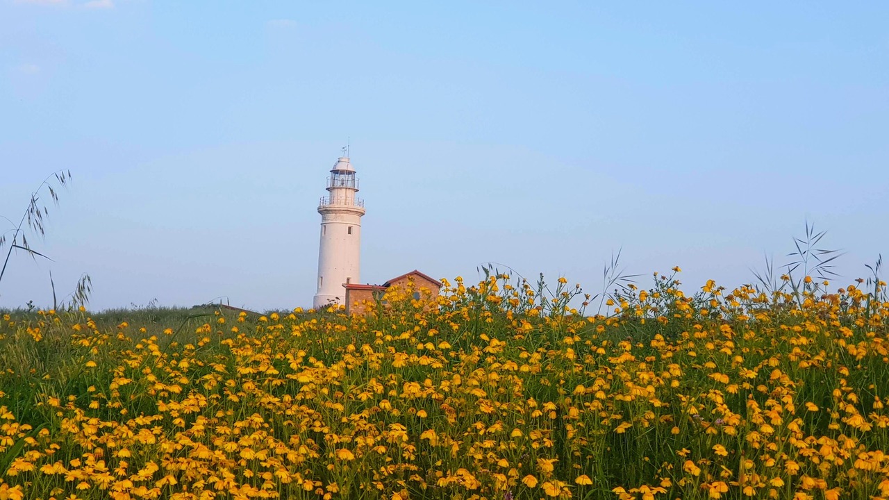 Photo of Outdoor in Paphos
