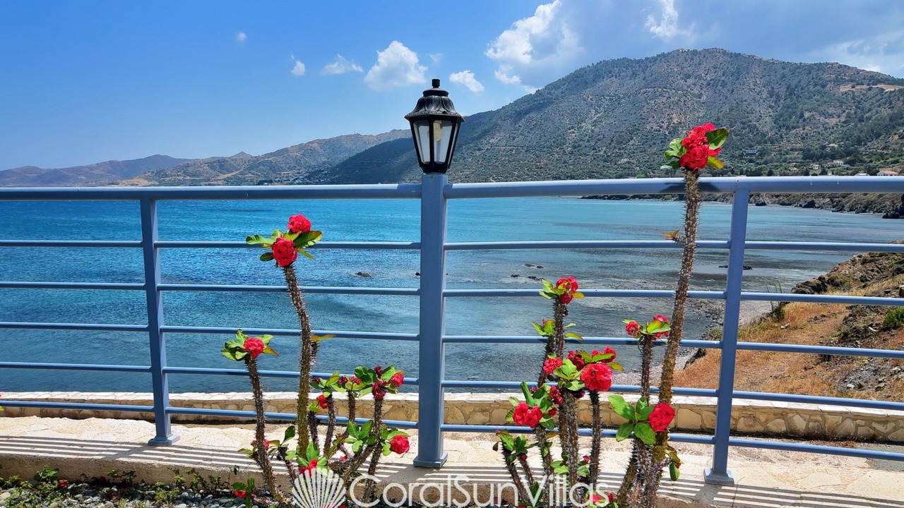Photo of Outdoor in Pomos