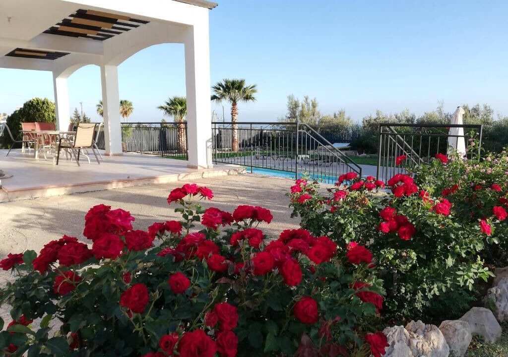 Photo of Patio Balcony in Sea Caves