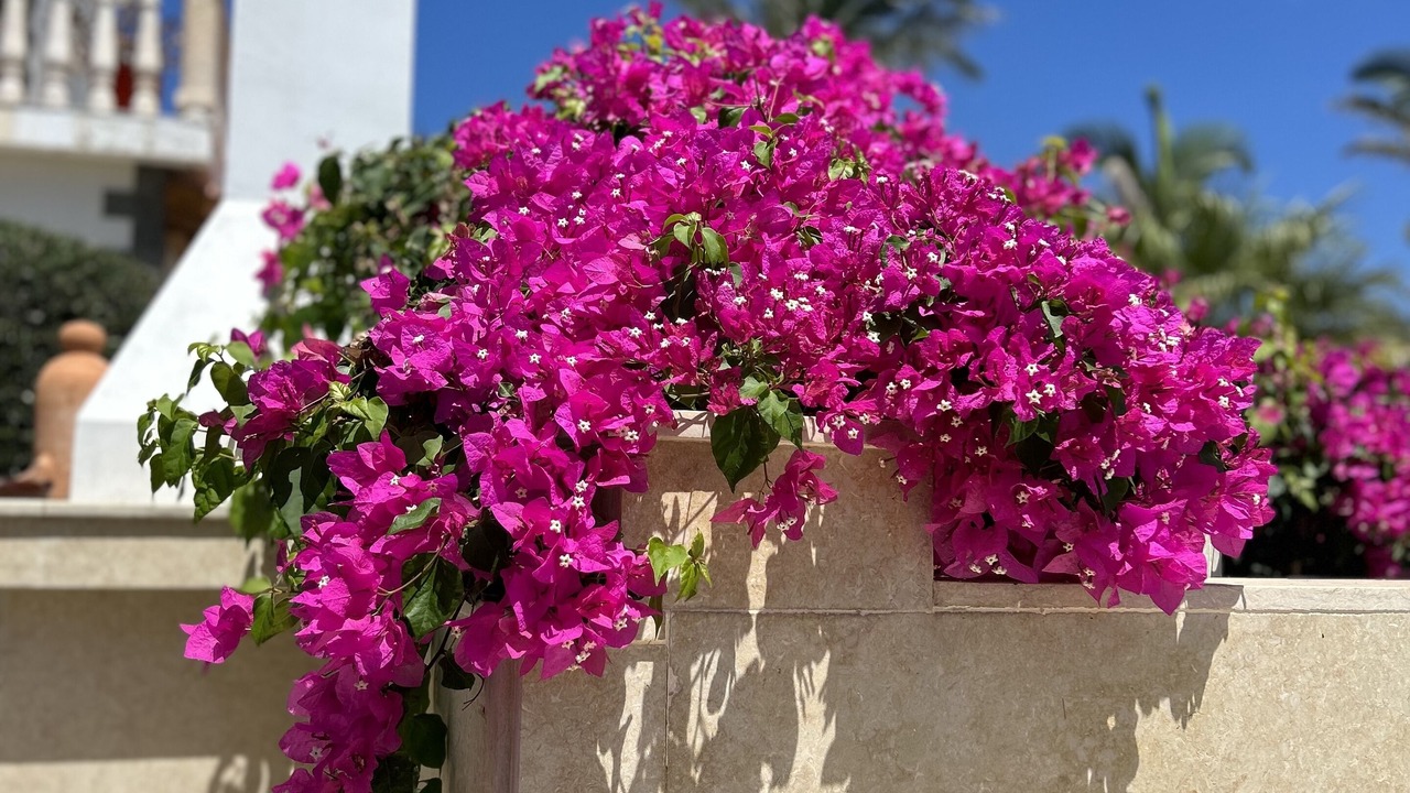 Photo of Outdoor in Pegeia