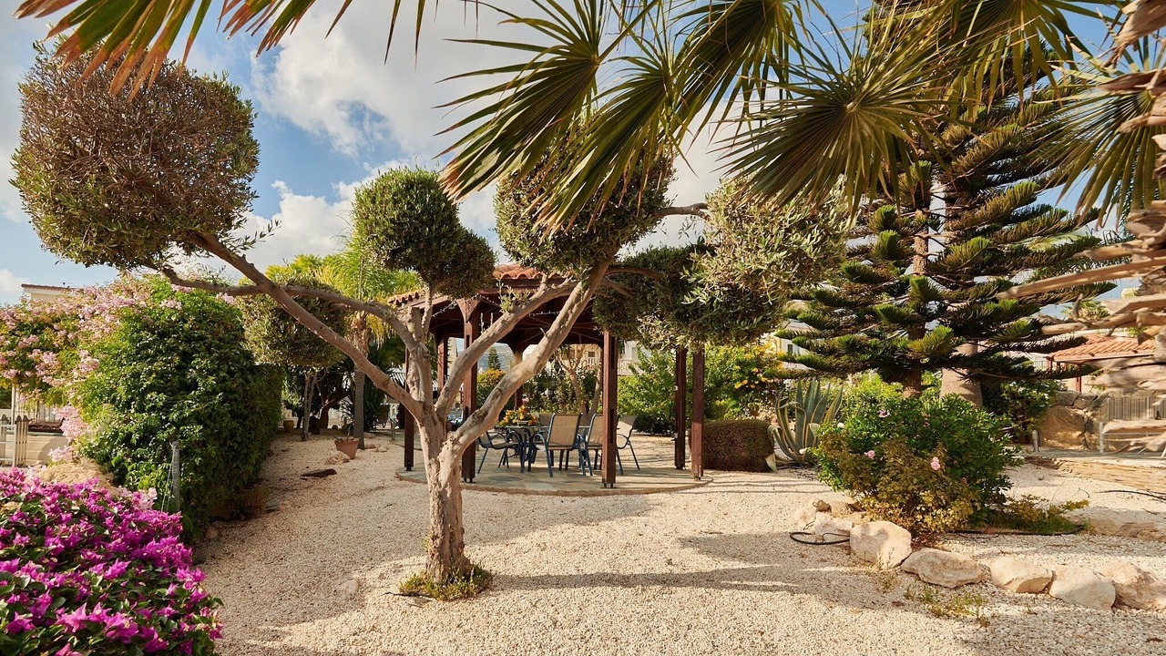 Photo of Patio Balcony in Pegeia