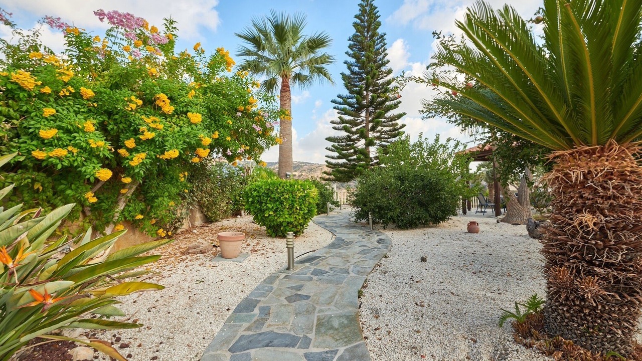 Photo of Outdoor in Pegeia