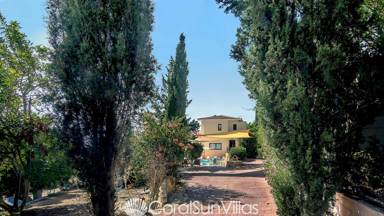 Photo of Outdoor in Pegeia
