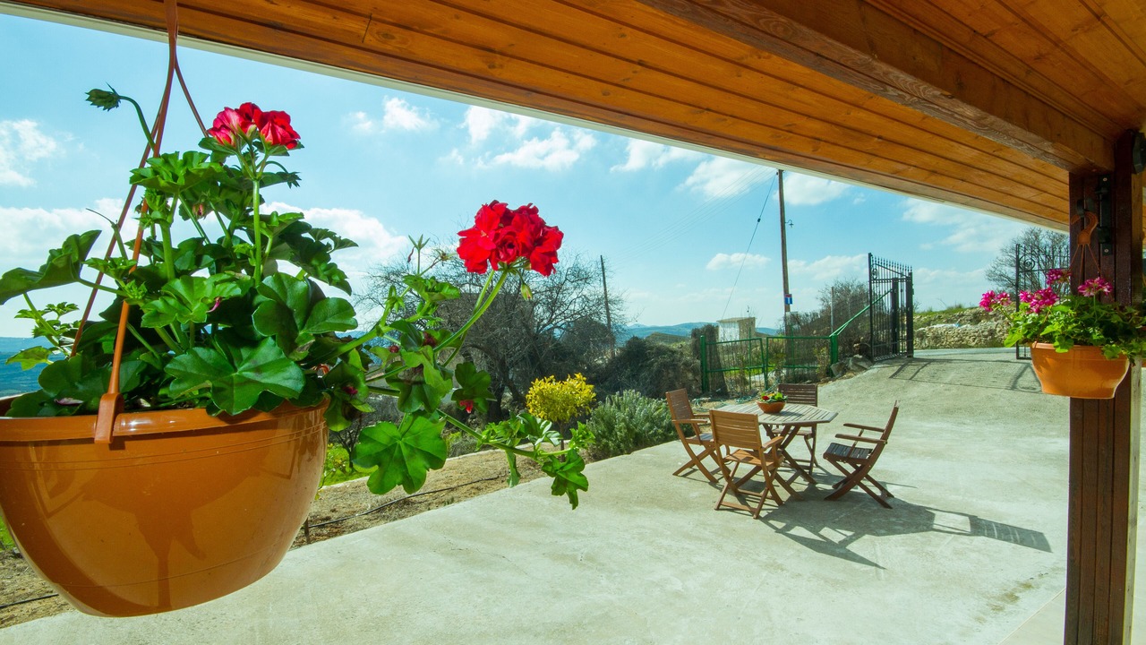 Photo of Outdoor in Vasa Koilaniou