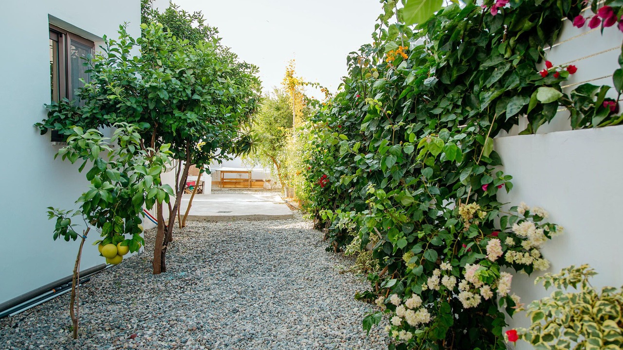 Photo of Outdoor in Kapparis