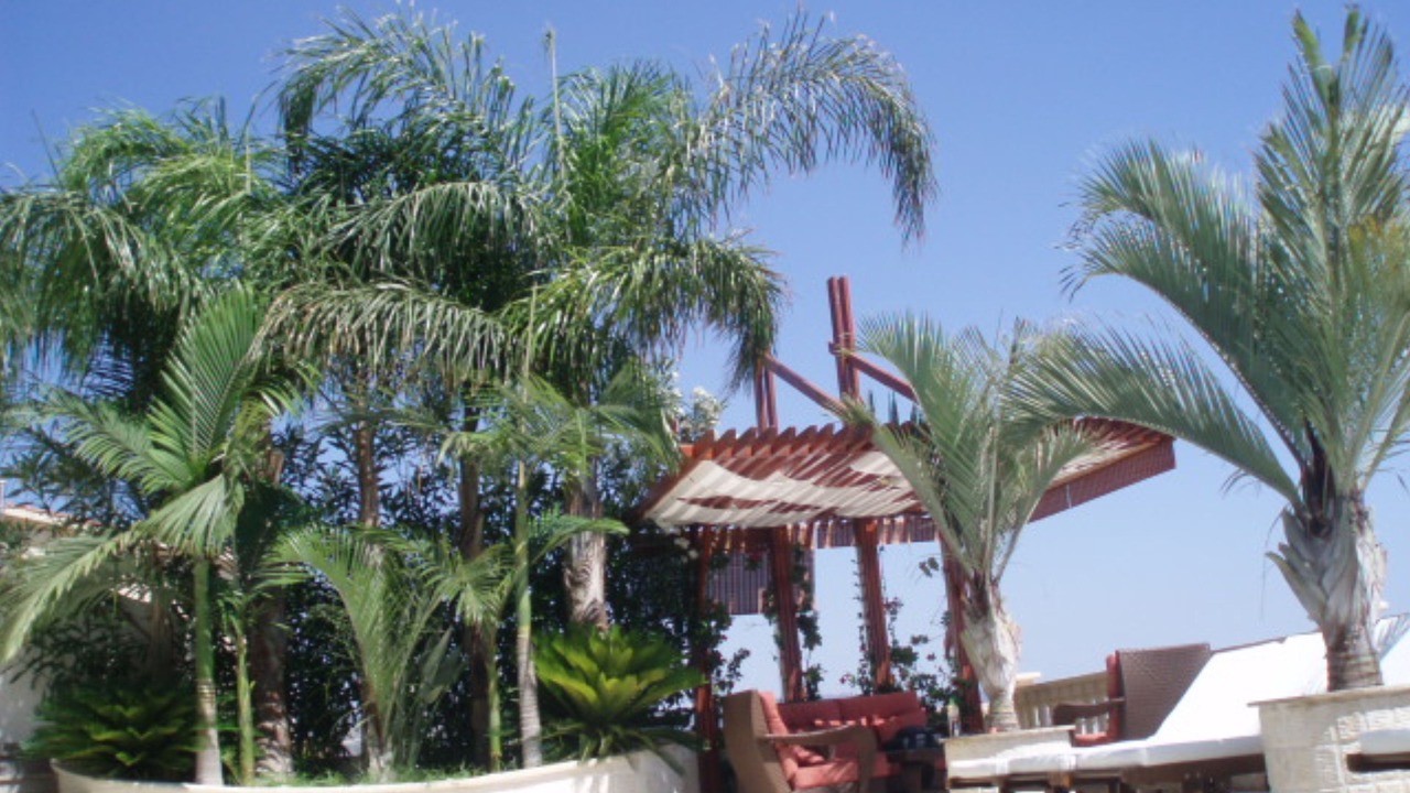 Photo of Outdoor in Peyia Town
