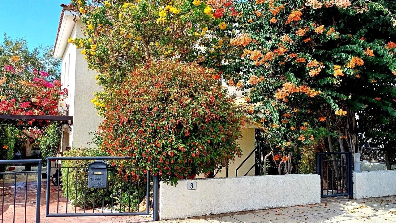 Photo of Outdoor in Peyia Town