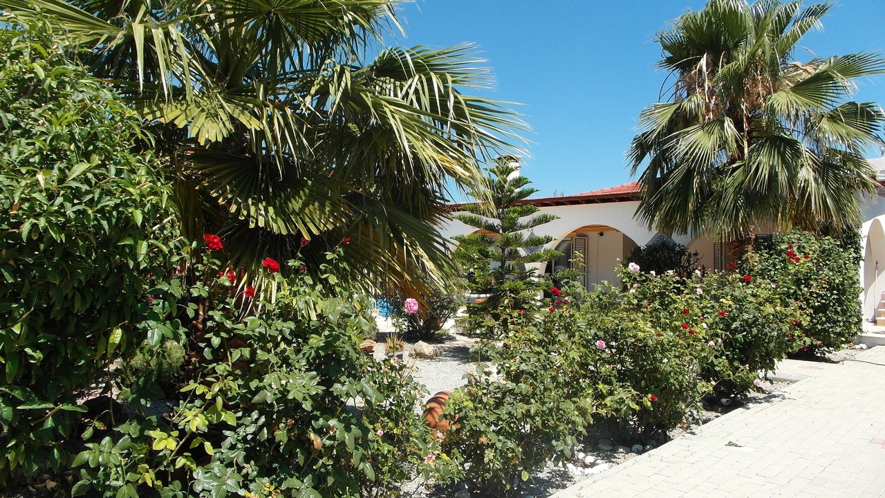 Photo of Outdoor in Ozankoy