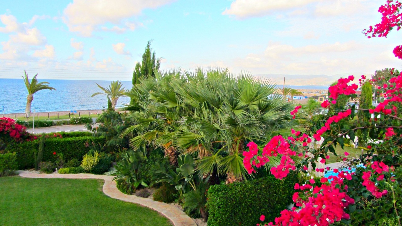 Photo of Outdoor in Latchi