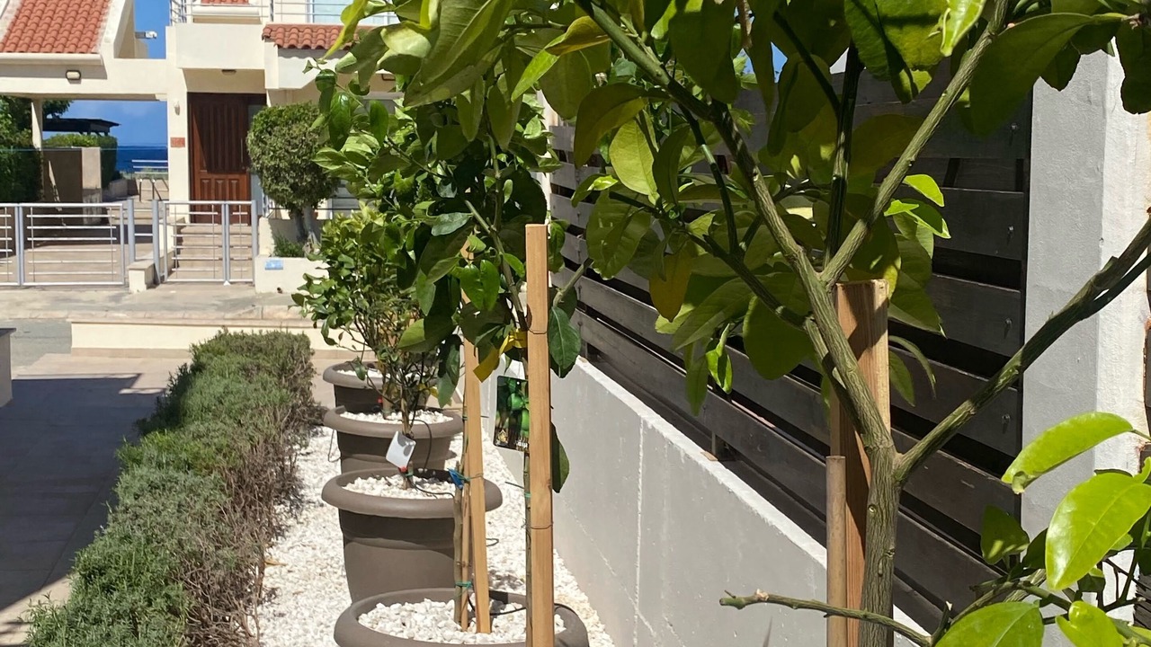 Photo of Outdoor in Paralimni
