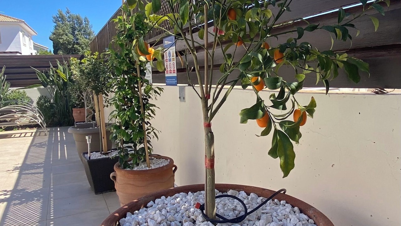 Photo of Outdoor in Paralimni