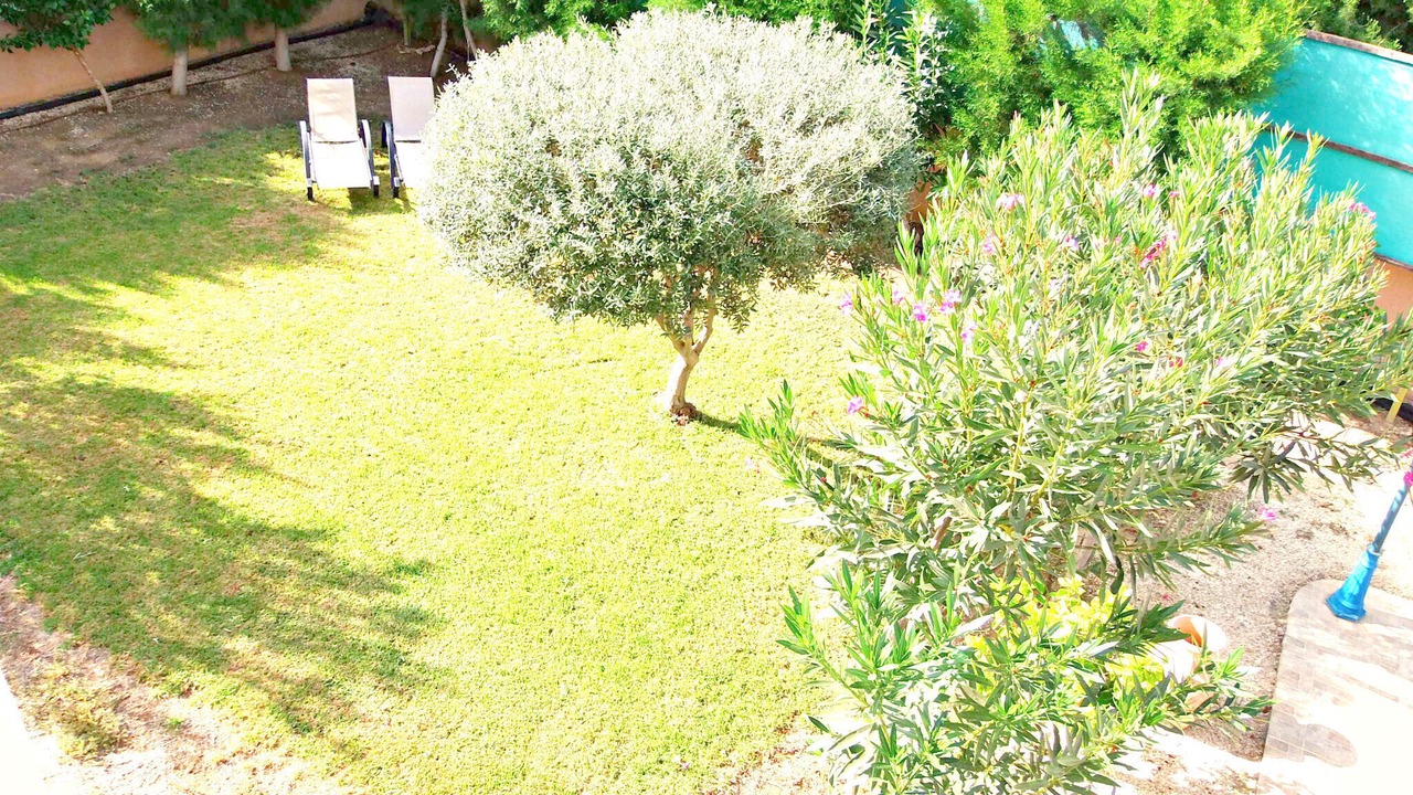 Photo of Outdoor in Argaka