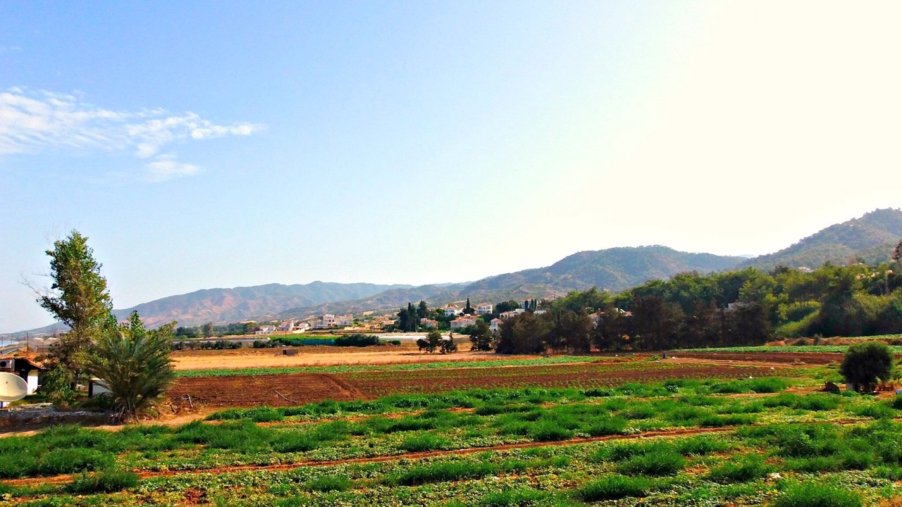 Photo of Outdoor in Argaka