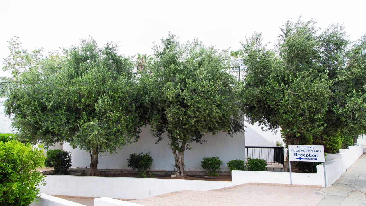 Photo of Outdoor in Ayia Napa