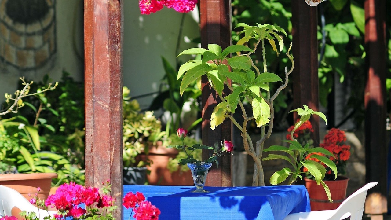 Photo of Outdoor in Polis