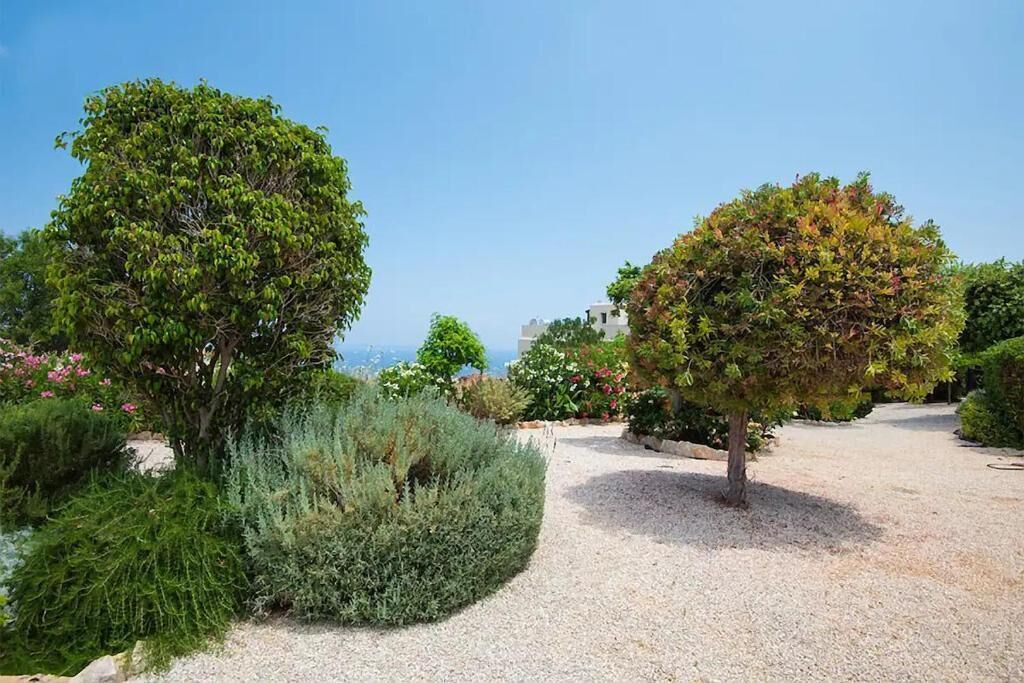 Photo of Outdoor in Latchi