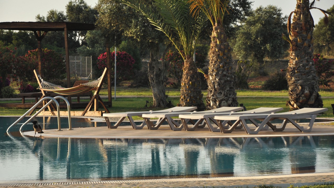 Photo of Outdoor in Bafra