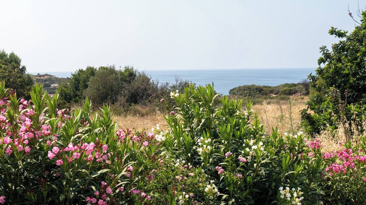 Photo of Others in Esentepe