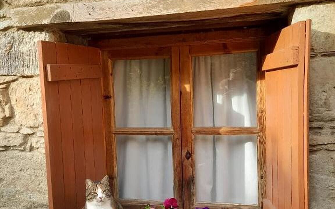 Photo of Outdoor in Lemona
