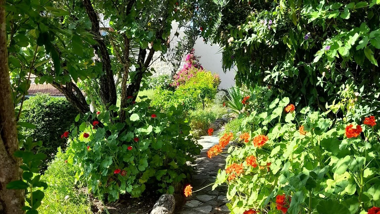 Photo of Outdoor in Lemona