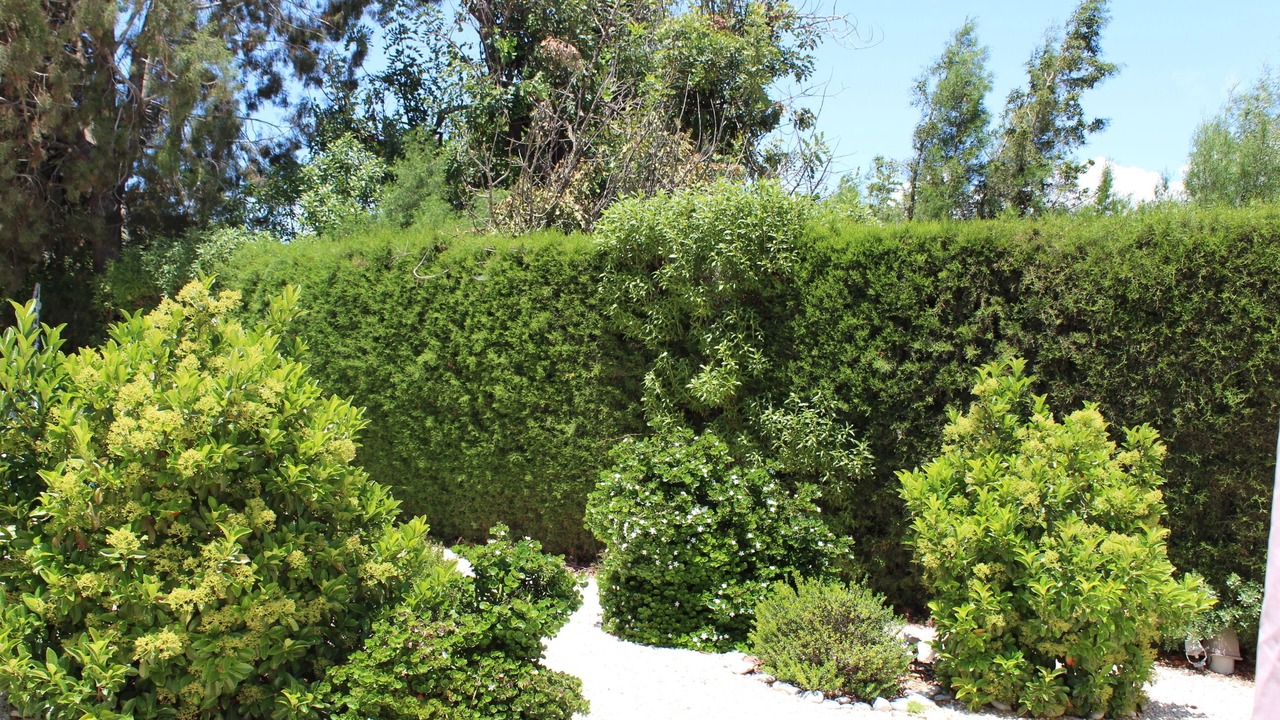 Photo of Outdoor in Pentakomo
