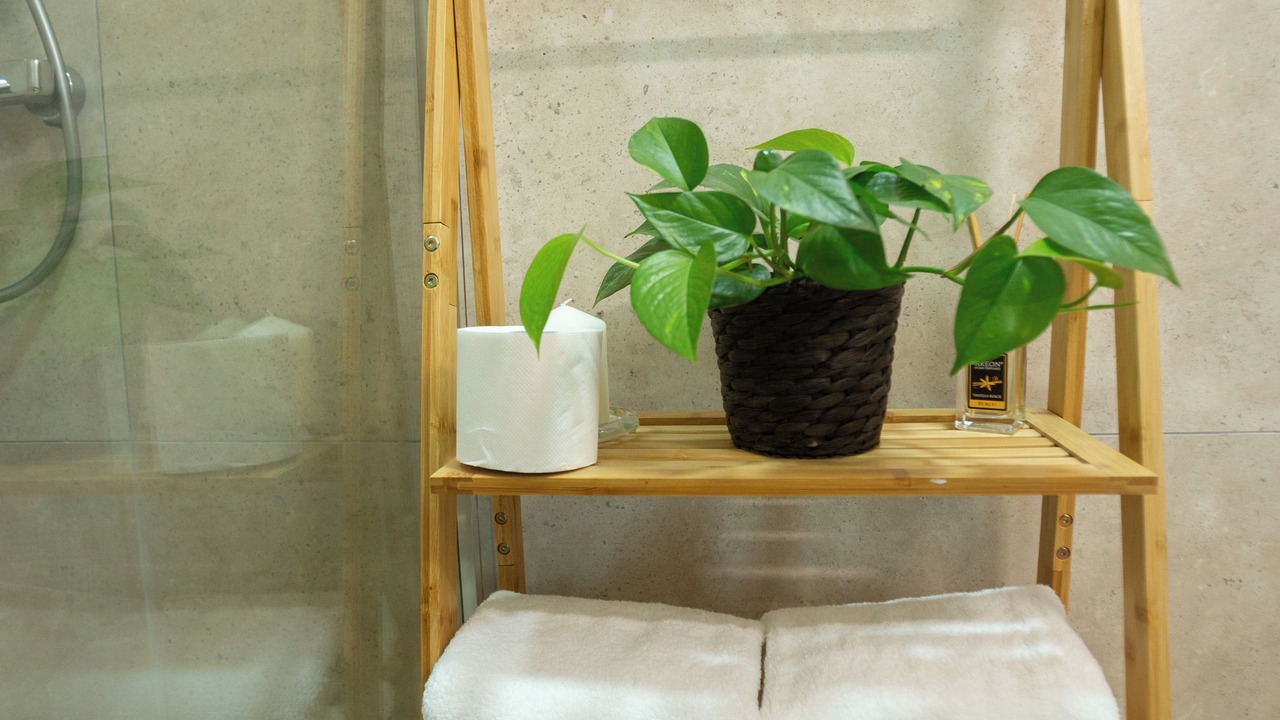 Photo of Bathroom in Softades