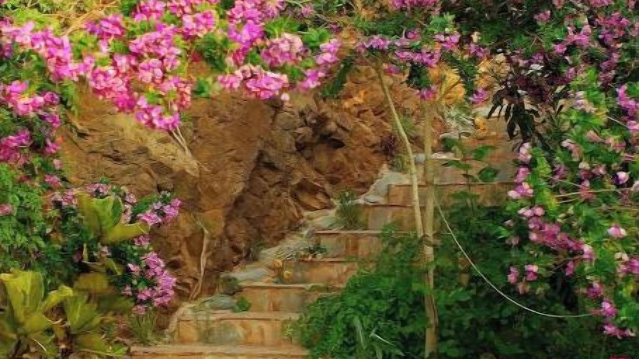 Photo of Outdoor in Latchi