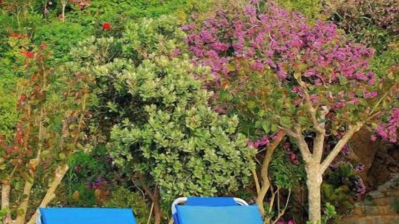Photo of Patio Balcony in Latchi