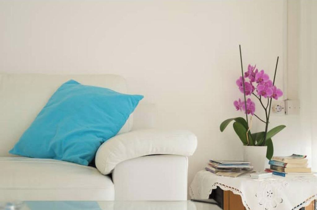 Photo of Livingroom in Latchi