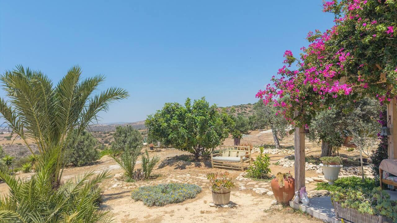 Photo of Outdoor in Agios Theodoros