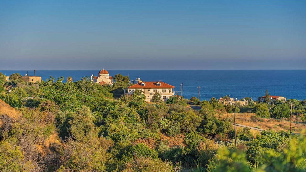 Photo of Others in Pomos