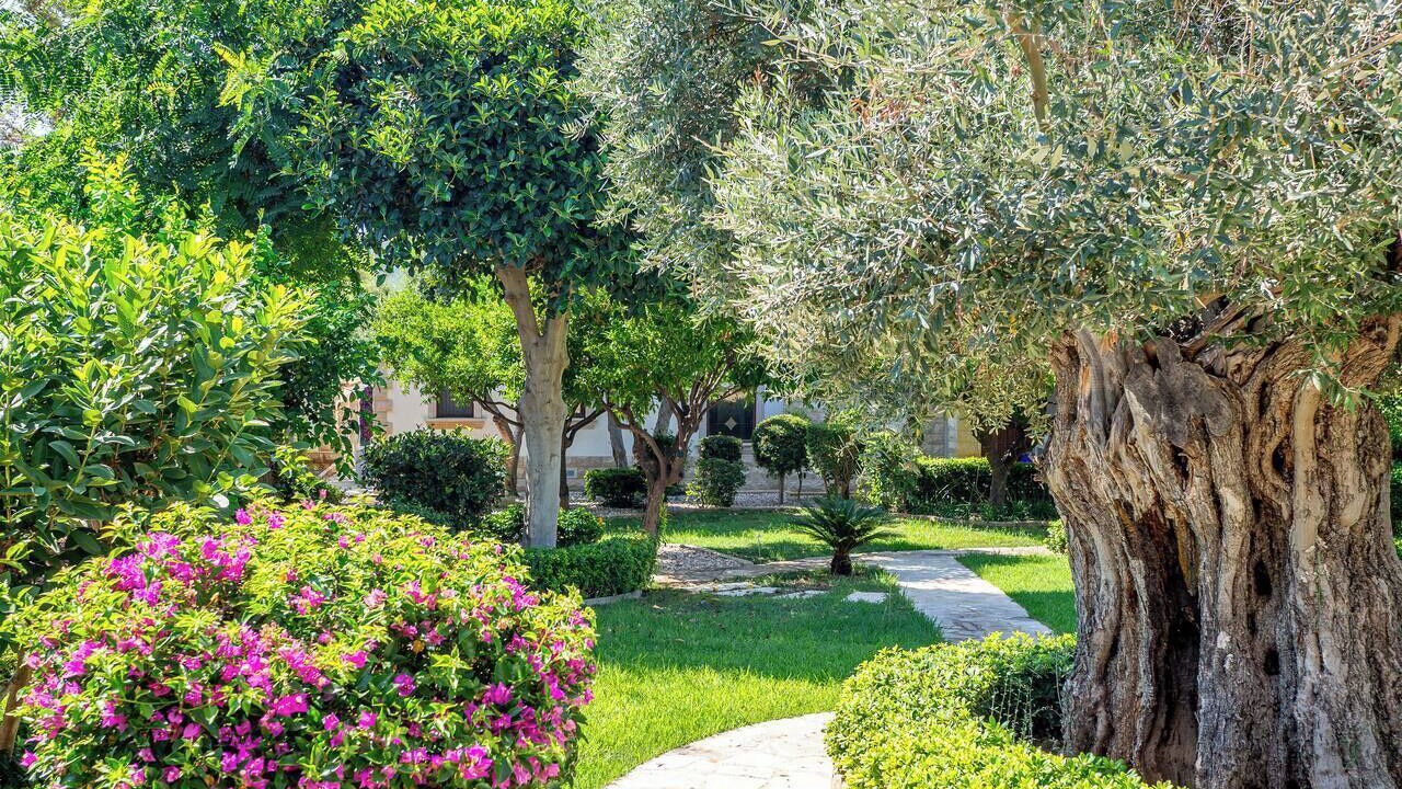 Photo of Outdoor in Argaka