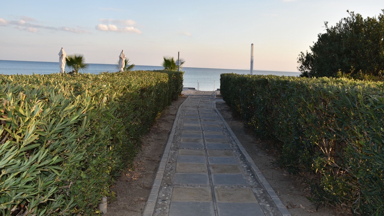 Photo of Others in Gastria