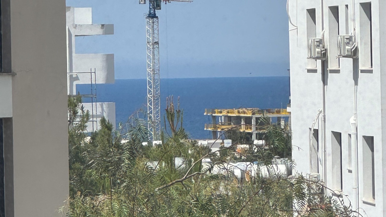 Photo of Others in Zeytinlik
