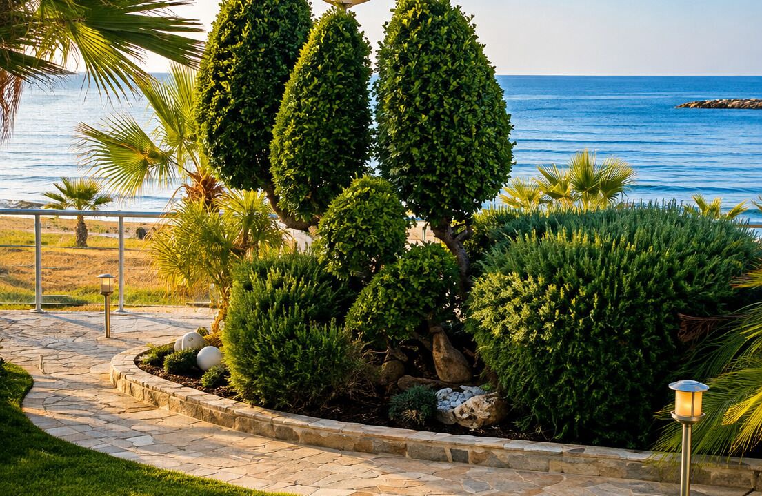 Photo of Outdoor in Larnaca
