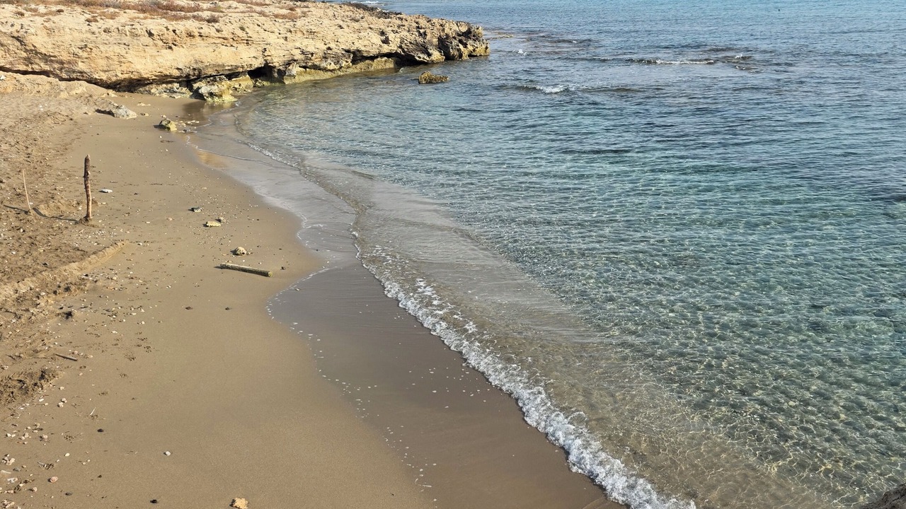 Photo of Others in Karsiyaka