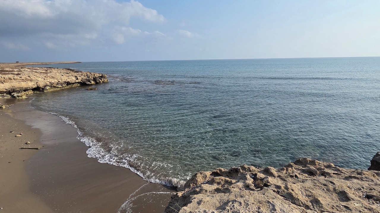 Photo of Others in Karsiyaka