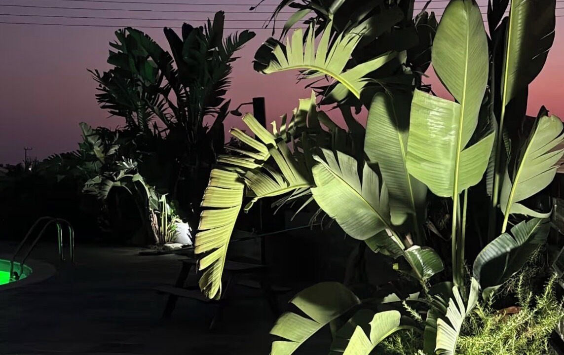 Photo of Outdoor in Emba