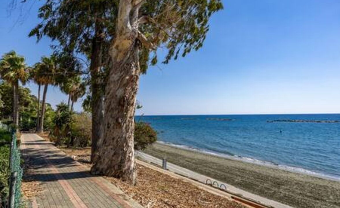 Photo of Others in Agios Tychon
