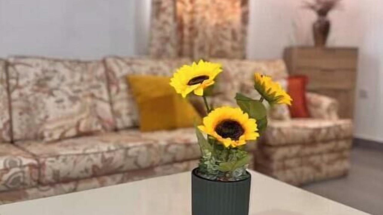Photo of Livingroom in Lofou