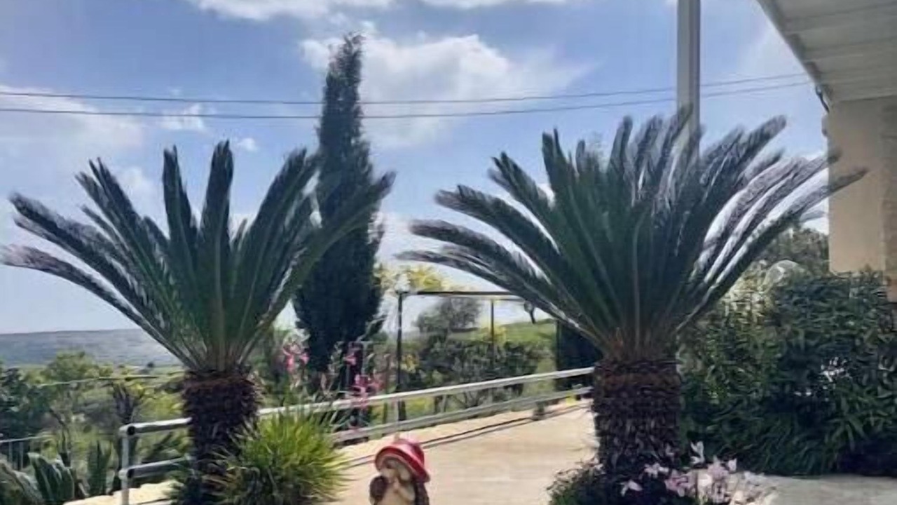 Photo of Outdoor in Lofou