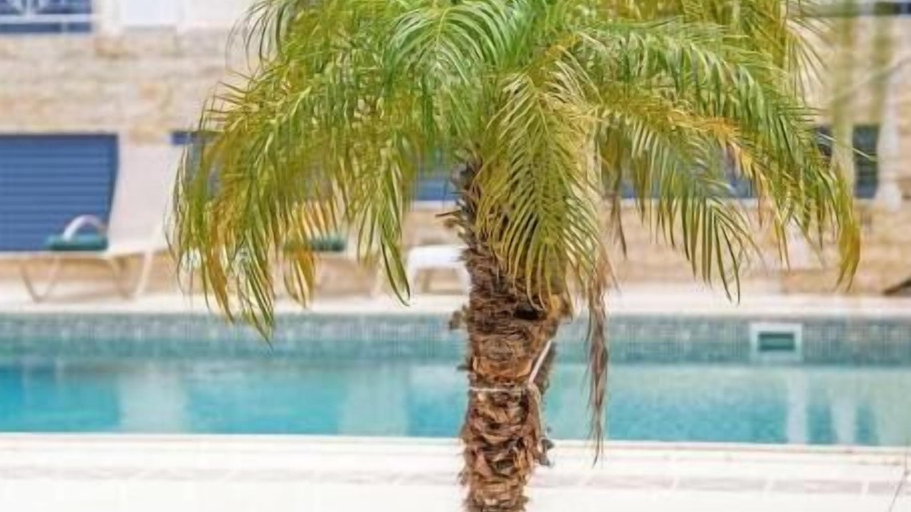 Photo of Outdoor in Latchi