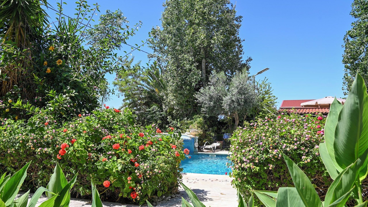 Photo of Outdoor in Argaka
